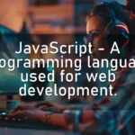 JavaScript – A programming language used for web development.