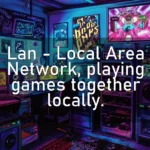 Lan – Local Area Network, playing games together locally.